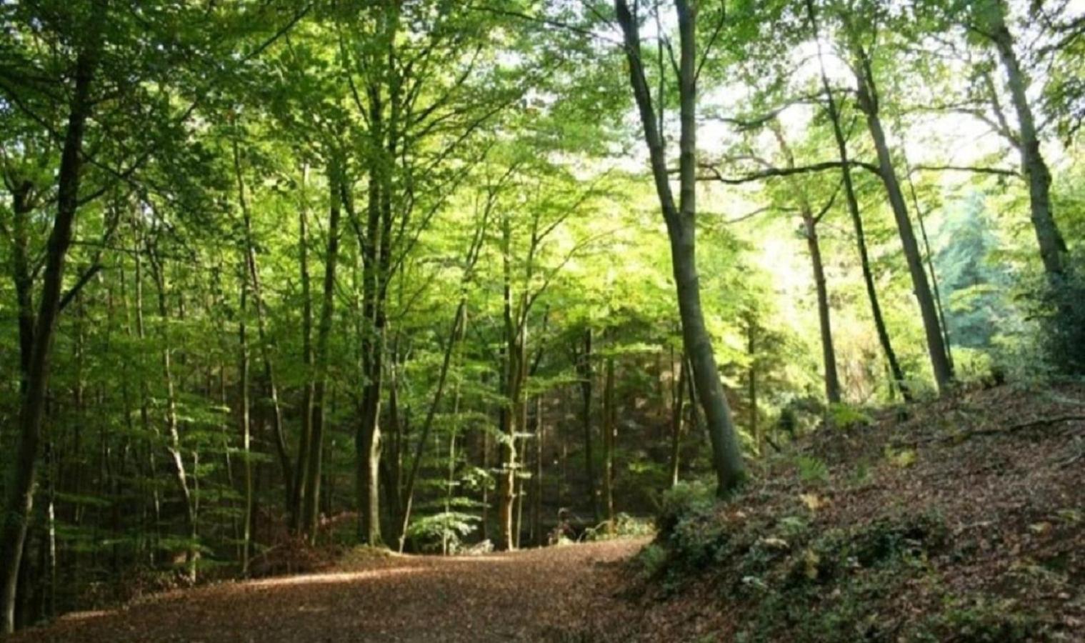 Haus Natura Jurdani Eksteriør billede